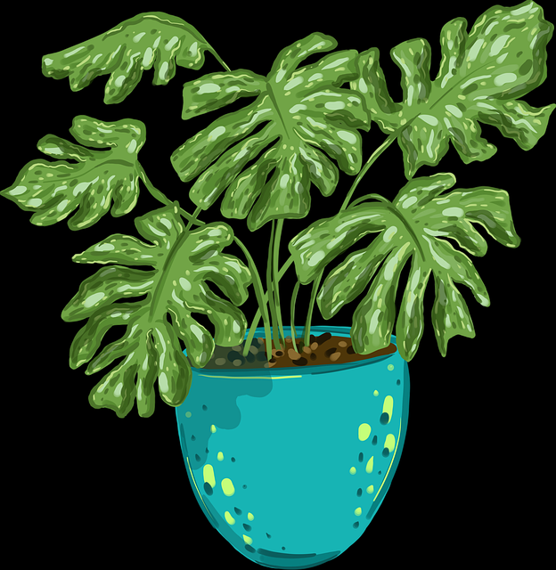 暗黑模式！榴莲社区app算法透视风险提示