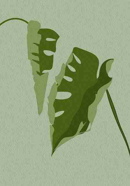 榴莲社区app生态地图·拍摄技巧警示录（83 ）