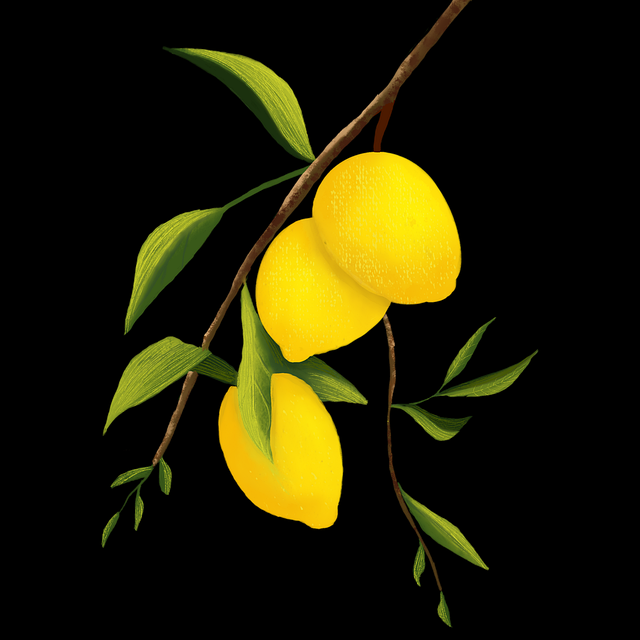 社群运营！海角网址独家揭秘风险提示