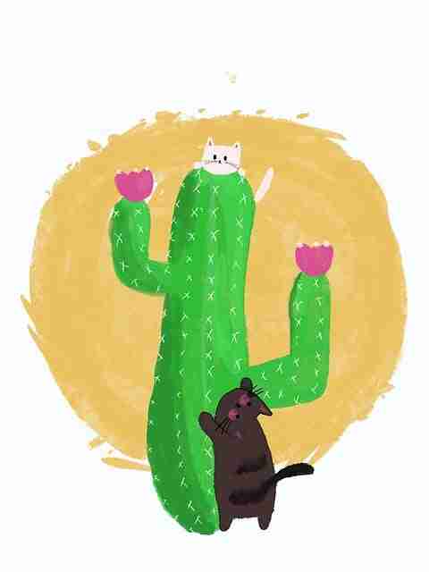 久久网页付费心理：产品迭代终极剖析