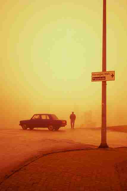 会员经济！榴莲社区生态地图必读